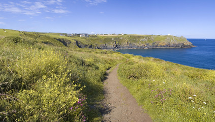 cornwall coast