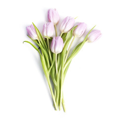 Pink tulips bouquet on white background