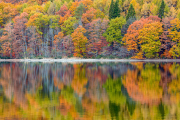 長野県大町市の青木湖の紅葉