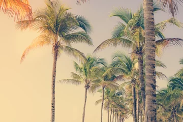 Kokospalme an der tropischen Küste, gemacht mit Vintage-Tönen für den Hintergrund. Vintage-Filter. Urlaubskonzept. © bobiphil