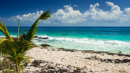 Obraz na płótnie Canvas Paradise nature, sand, sea water, rocks, palm tree leaves and summer on the tropical beach. Playa Del Carmen, Riviera Maya, Mexico.