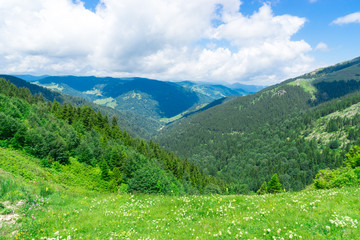 Obraz premium Summer Mountain Plateau Highland with Giresun - Turkey - Black Sea