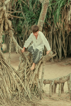 A Boy On A Tree In Pants Afghani