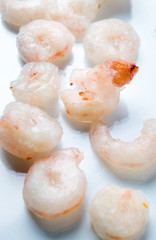 Frozen shrimps on white reflective background