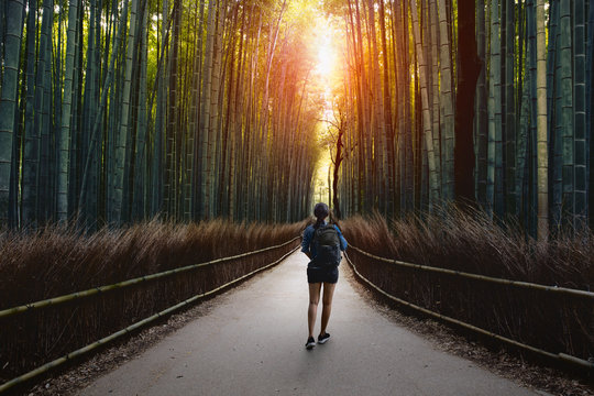 Arashiyama bamboo forest