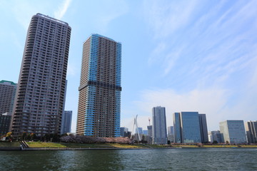 Fototapeta na wymiar 春の隅田川と高層ビル群