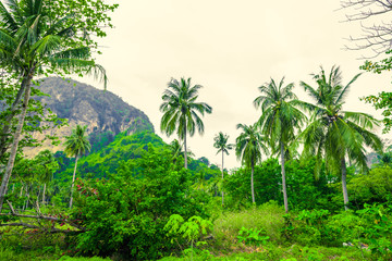 Tropical landscape with large rocks, coconut palm trees, vegetation and sky in bright green colors. Photo from Poda Island, Krabi province, Southern Thailand.