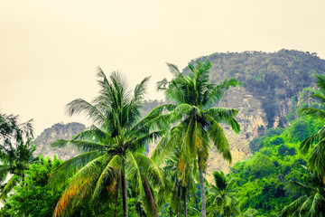 Fototapeta na wymiar Tropical landscape with large rocks, coconut palm trees, vegetation and sky in bright green colors. Photo from Poda Island, Krabi province, Southern Thailand.