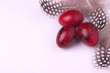 Quail easter eggs decorated with spotted feathers.