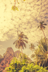 Coconut palm trees and limestone rocks with sun light on sunrise sky background. Travel concept. Photo from West Railay Beach, Southern Thailand. Vintage pastel colors and boost up color processing.