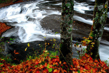 紅葉瀑布