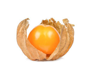 Cape gooseberry isolated on white background