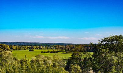Fototapeta na wymiar Field and forest with a blue sky on a clear day. Beautiful landscape in nature.