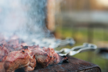 cooking barbecue on nature