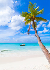 Saona island. Caribbean Sea coast