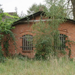 Old abandoned house with gate in autumn, colorful leaves and laurels,