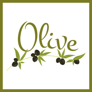 olive typography