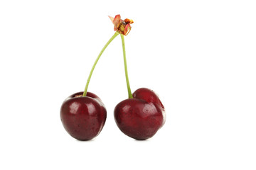 Sweet cherry isolated on a white background