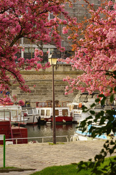 Paris Monument 205