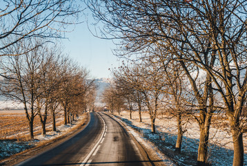 Empty winter road with snow beside the road and bare trees