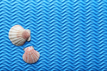 Sea shell on the blue background