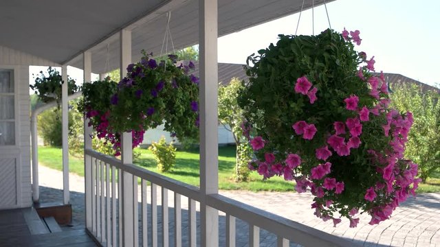 Flowers hanging on the porch. House of white color. Buy cheap real estate.
