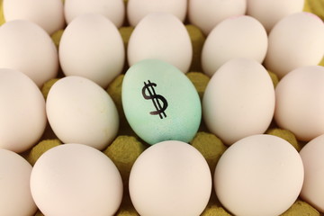 valuable egg