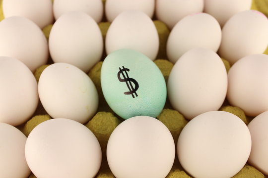 valuable egg