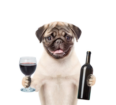 what happens if dog drinks wine