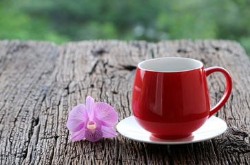 Red cup and orchid On the old wood table