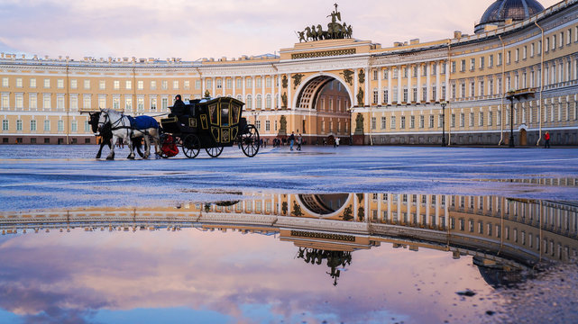 Saint-Petersburg. Summer 2016. Carriage horses at the Palace square.