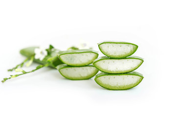 Aloe Vera  very useful herbal medicine for skin treatment and use in spa for skin care.