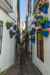 Fototapeta na wymiar Calleja de las Flores in Cordoba, Spain