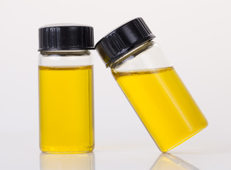 Rose essential oil on the white background