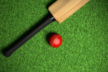 cricekt ball on green grass