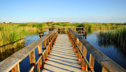 Fototapeta premium Tablas de Daimiel, España