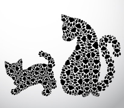 Silhouettes of cat and kittens from the cat paws