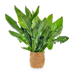 Spinach leaves in basket  isolated on white background