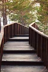 The stairs to wooden bridge
