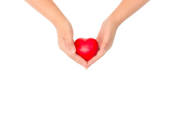 heart in hands isolated on white background with clipping path