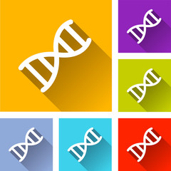 six dna icons