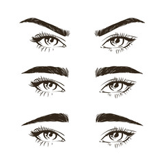 3 basic eyebrow shape types vector illustration. Fashion female brow