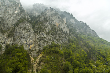 Montenegro. Durmitor National Park. Tara River Canyon