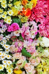 Fototapeta premium Flower garden