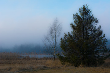 Obraz na płótnie Canvas Morgenstimmung mit Nebel am Moor