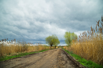 Fototapeta na wymiar spring landscape, road, marsh, reed and sky in the clouds