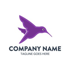Unique Hummingbird Logo Template