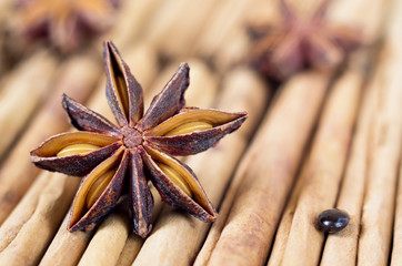 A star anise with a seed on cinnamon sticks. Selective focus.