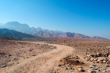 Medio Oriente, 10/03/2013: tracce di 4x4 nel paesaggio deserto della Riserva Biosfera di Dana, la più grande riserva naturale della Giordania