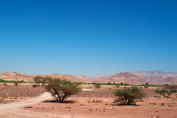 Fototapeta na wymiar Medio Oriente, 10/03/2013: le montagne e il paesaggio deserto della Riserva Biosfera di Dana, la più grande riserva naturale della Giordania, a Petra